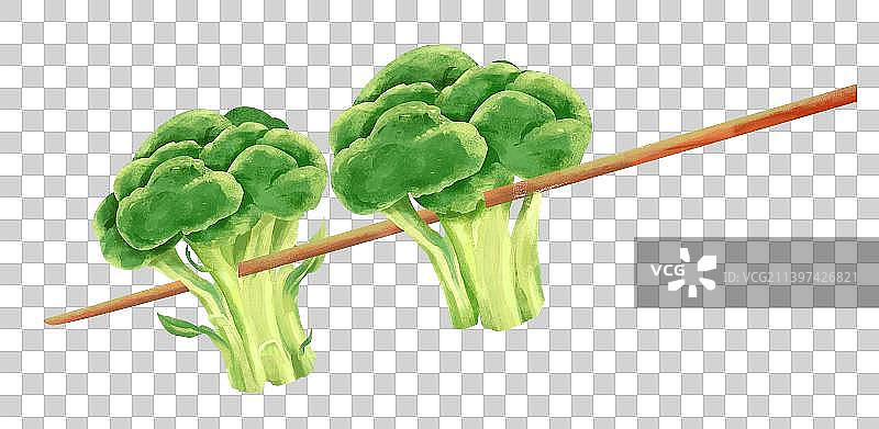 西蓝花图片素材