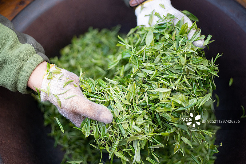 茶文化图片素材