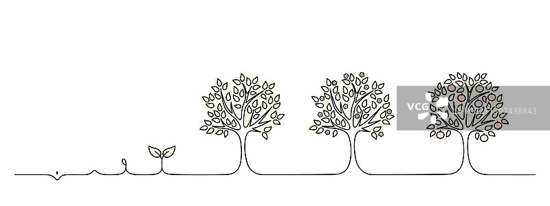 苹果树生长周期线性图图片素材