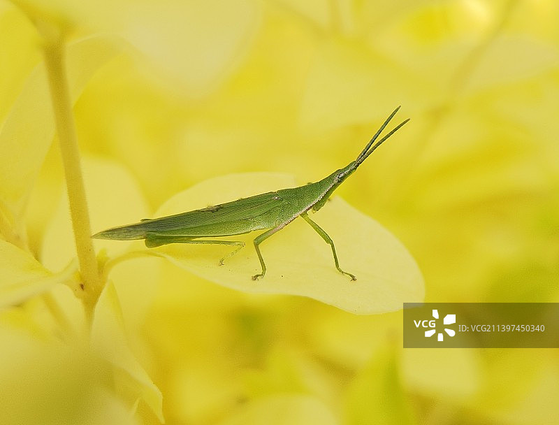秋天的童话图片素材