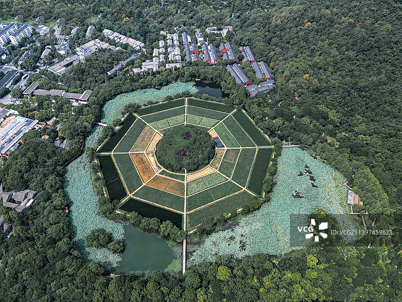 八卦田图片素材