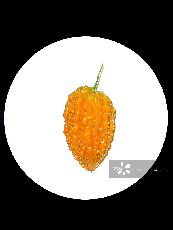 秋天的颜色·黑基白色背景下的果蔬特写（5）图片素材