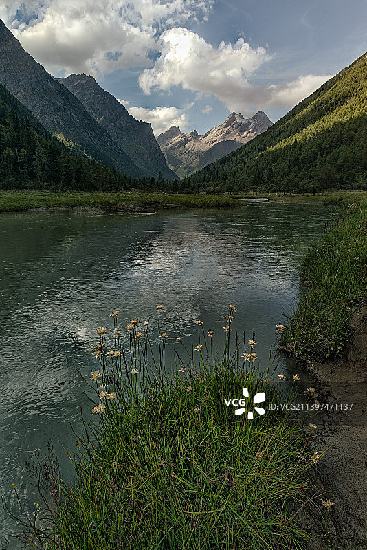 傍晚的骆驼峰图片素材