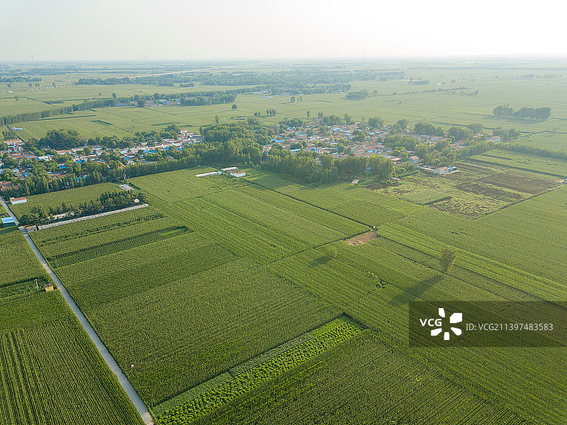 河南省濮阳市清丰县仙庄镇夏天农村农田户外风光航拍图片素材