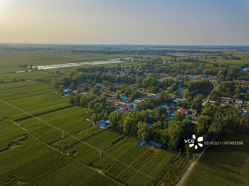 河南省濮阳市清丰县仙庄镇夏天农村农田户外风光航拍图片素材