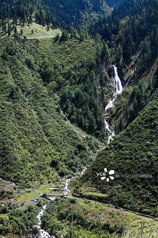 印度北阿坎德邦森林树木高角度景观图片素材