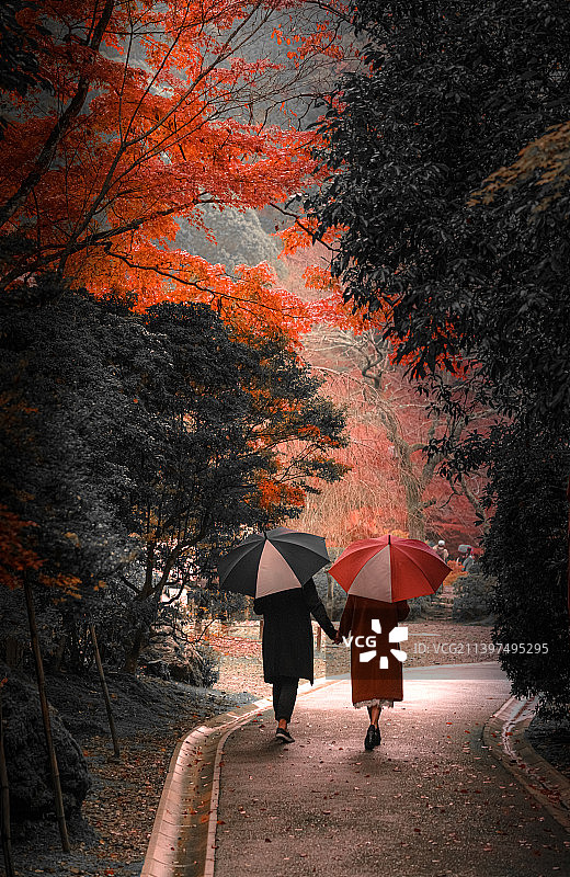 在秋雨中走过的一对牵手的情人图片素材