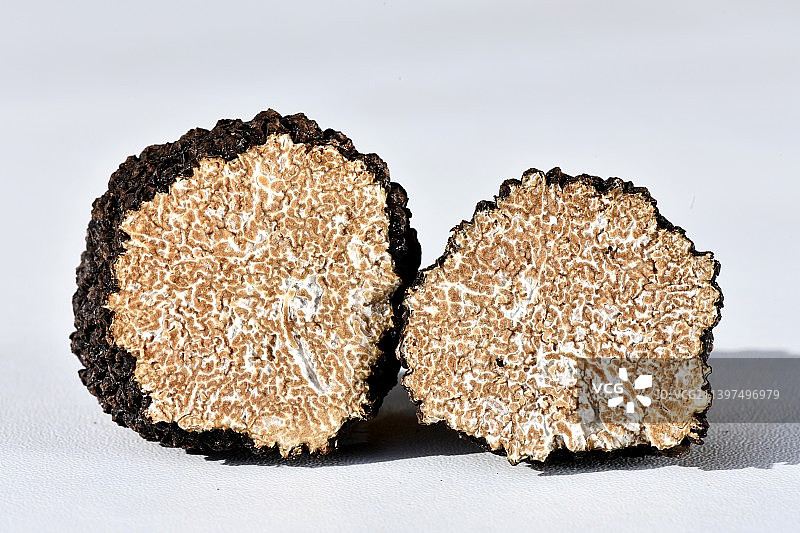 白色背景下的松露切面特写图片素材