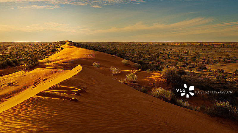 辛普森沙漠日落时分的沙漠景观，澳大利亚图片素材