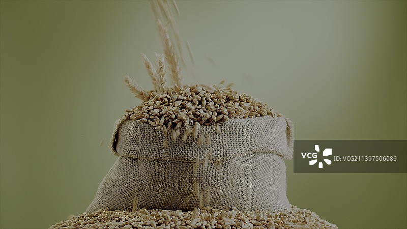 白色背景下的麻袋粮食特写图片素材