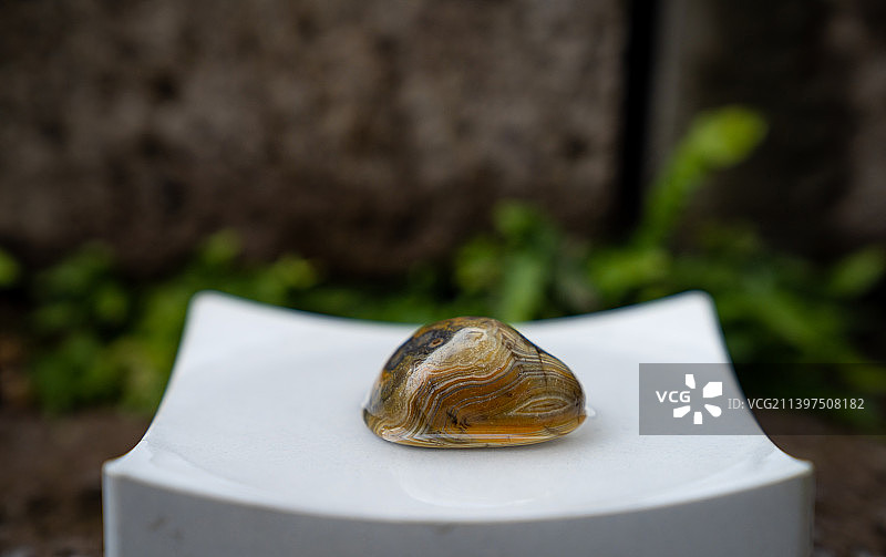 南京雨花石图片素材