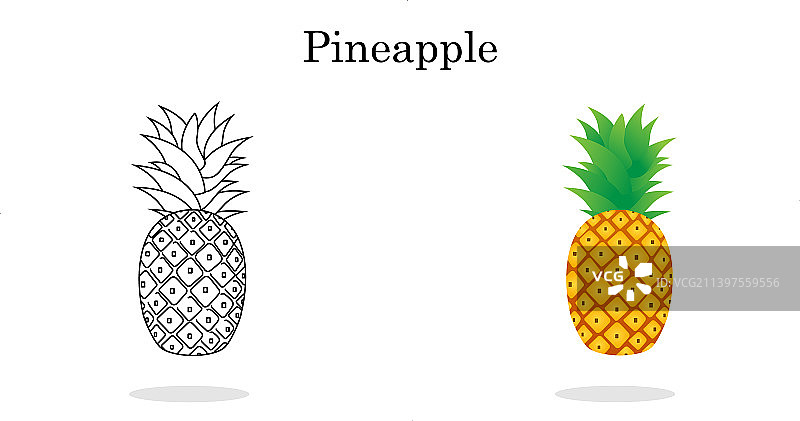 菠萝线条艺术彩色简笔画图片素材