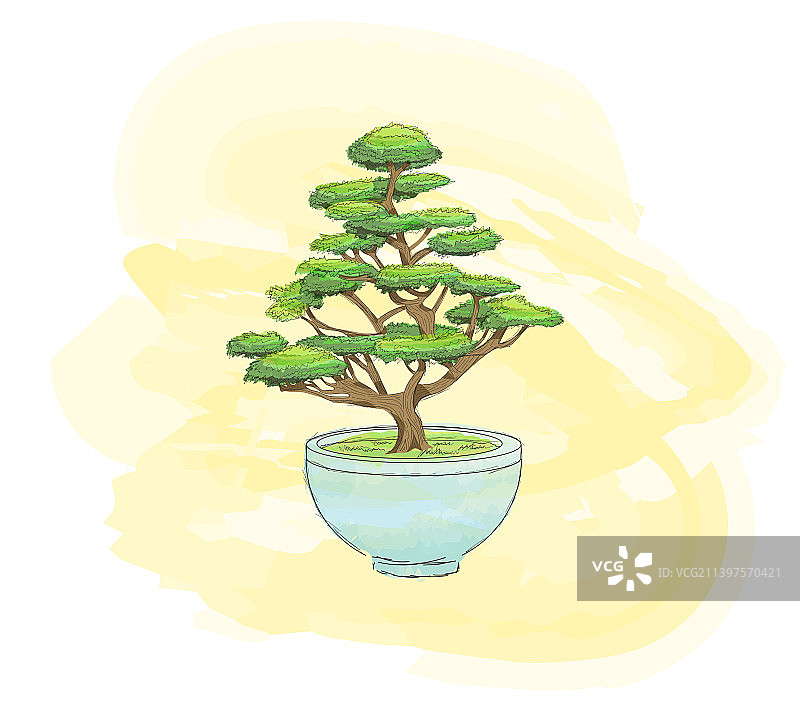 黄色背景上的水彩盆景树图片素材