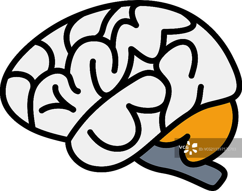 大脑的图标图片素材