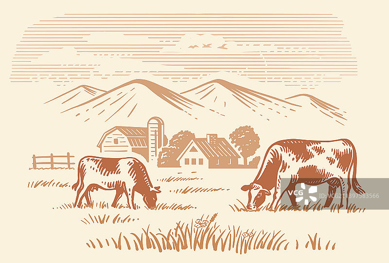 草地上吃草的奶牛手绘草图图片素材