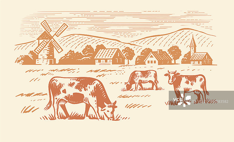 草地上吃草的奶牛手绘草图图片素材