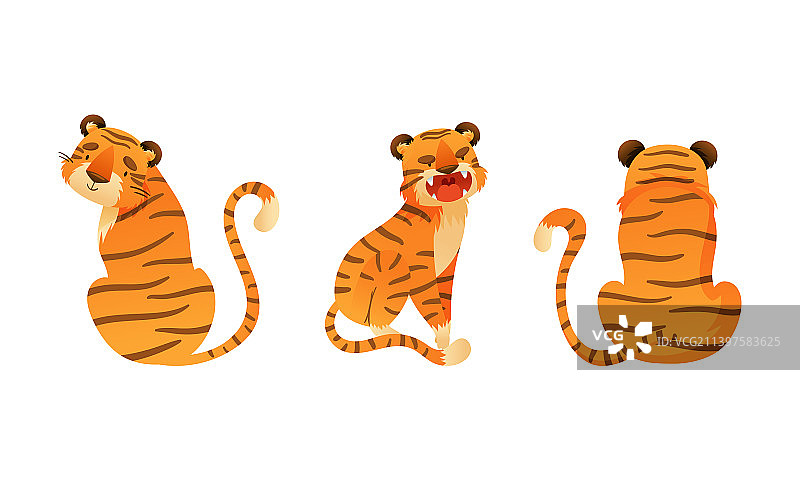 可爱的丛林老虎背面和侧面视图图片素材
