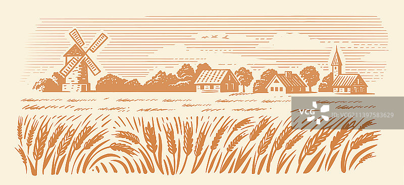 小麦有机农业景观农场图片素材