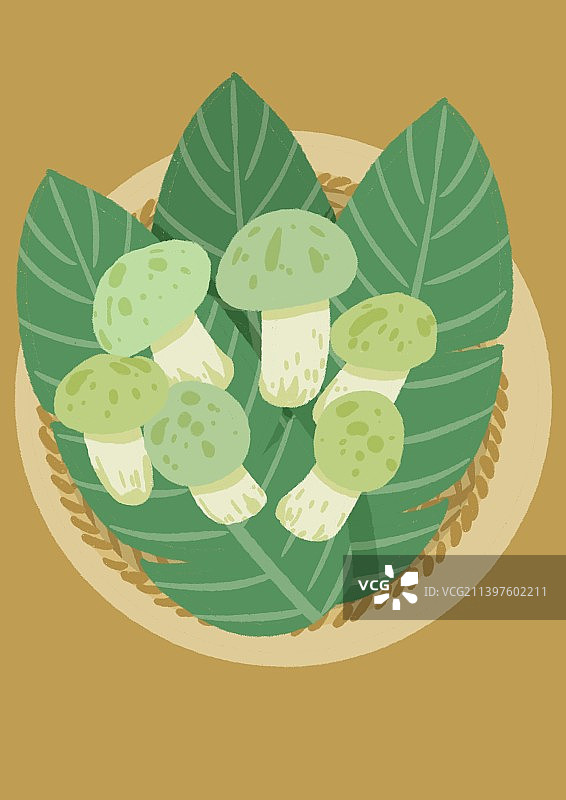 青头菌图片素材