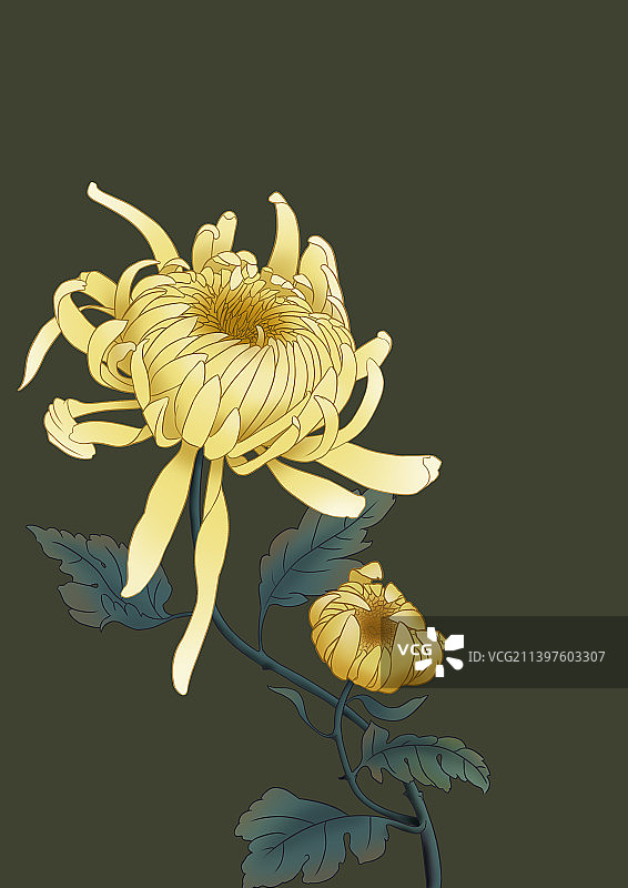 秋季菊花国风插画图片素材