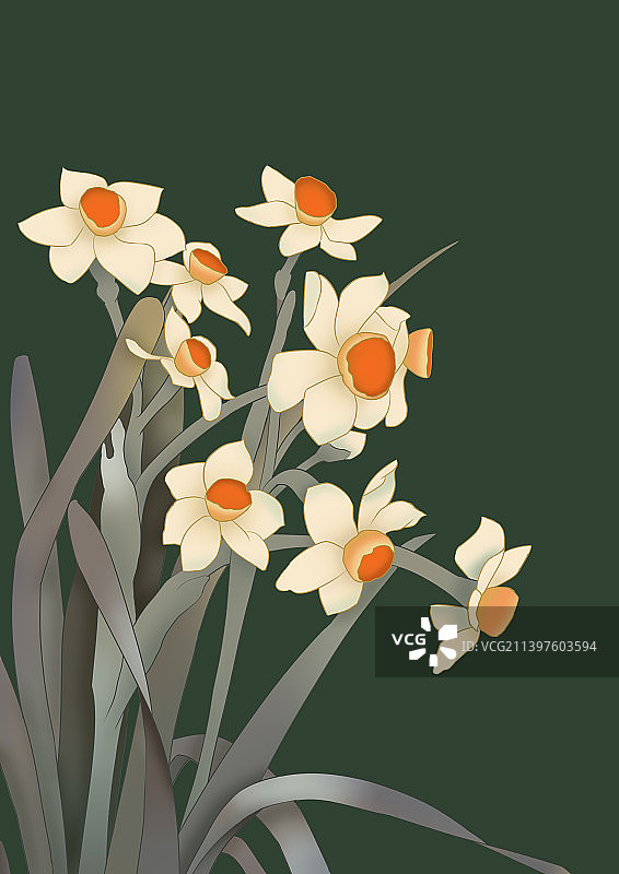 水仙花开冬季植物唯美古风插画图片素材