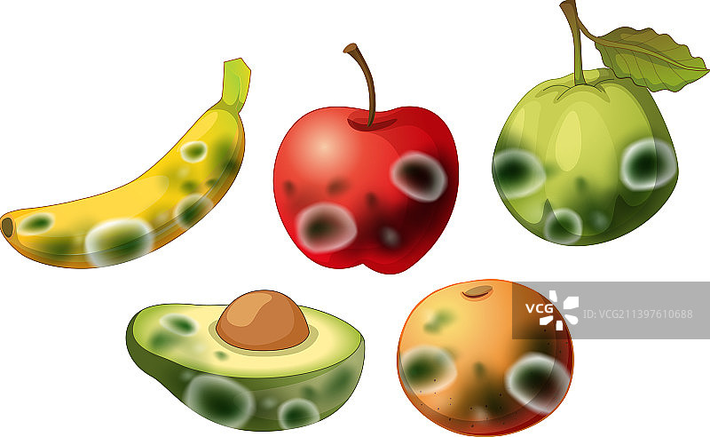 一组发霉的不可食用水果图片素材