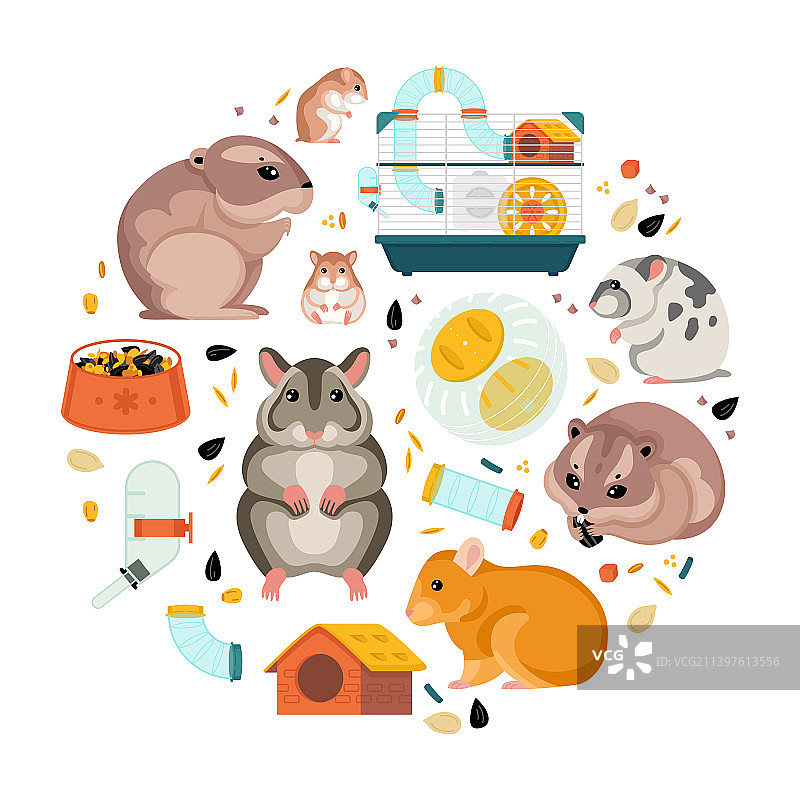 仓鼠扁平圆形构图图片素材
