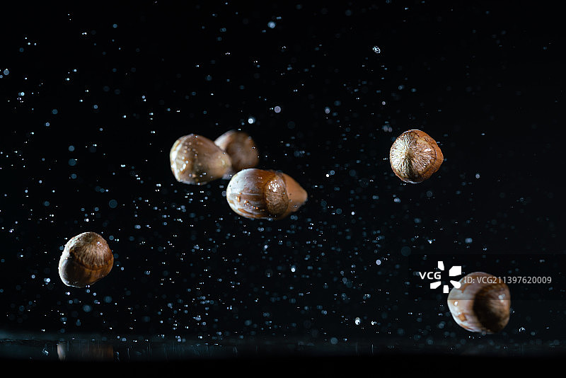 榛子在黑色背景上跳起来高速棚拍广告素材图片素材