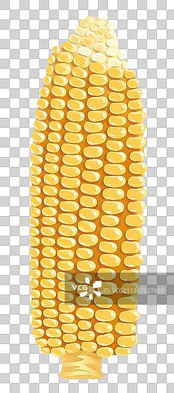 玉米插画元素图片素材