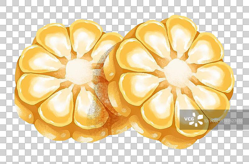 玉米插画元素图片素材