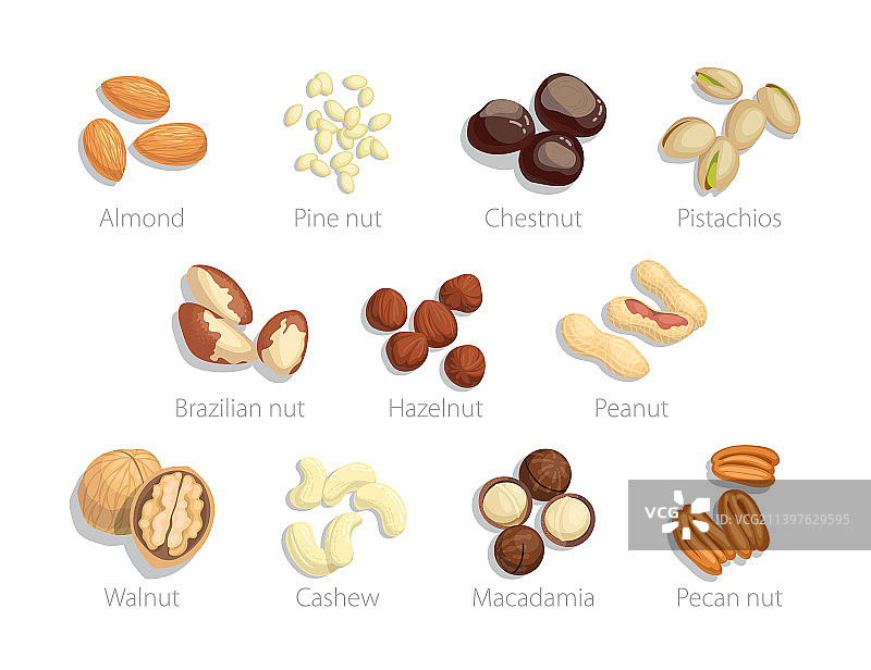 带名称的生坚果图片素材