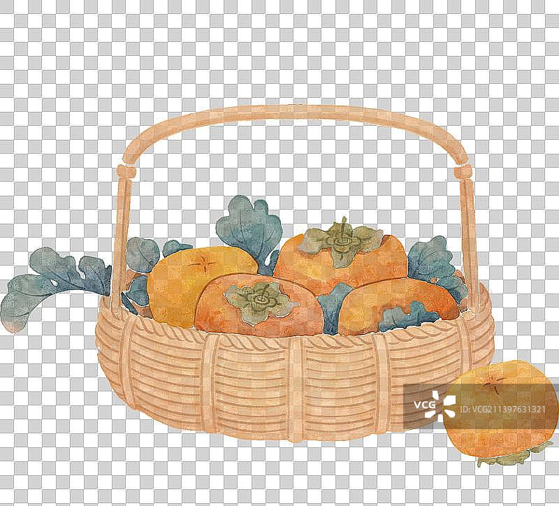 手绘水彩风格一筐柿子图片素材