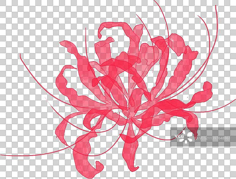 彼岸花图片素材