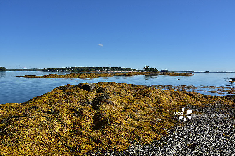缅因州小法兰西岛的壮丽海景图片素材