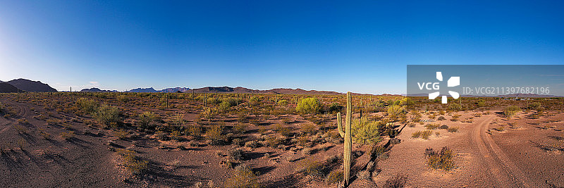 亚利桑那州皮马县的广阔景观全景图片素材