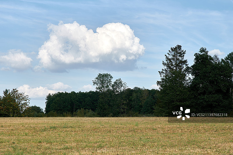 比利时阿尔隆海因施的田野树木图片素材
