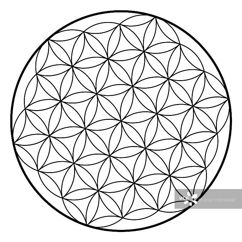 生命之花神圣几何图片素材