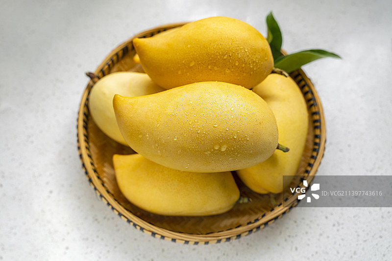 鹰嘴芒图片素材