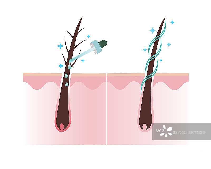 修复受损发质，养护健康秀发图片素材