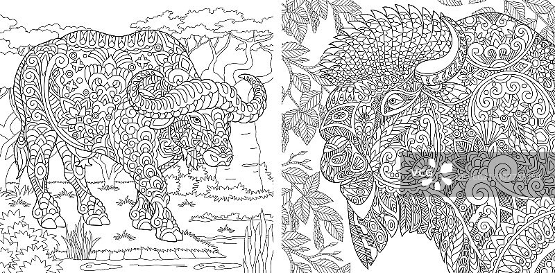 水牛和野牛的涂色页图片素材