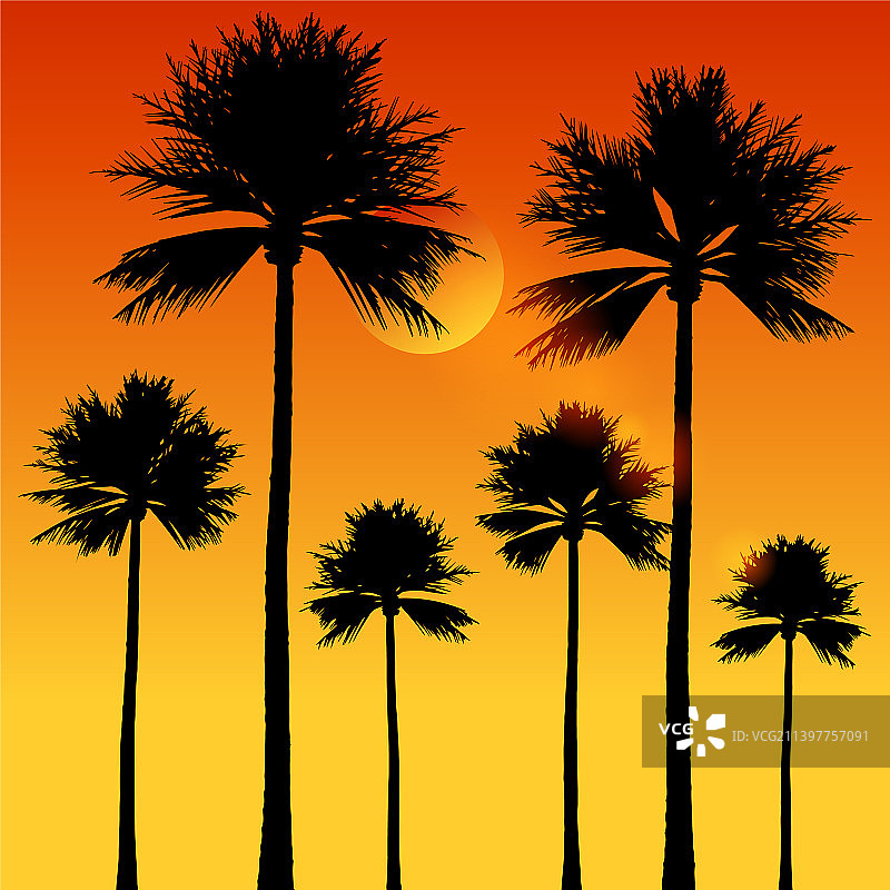 热带阳光日落图片素材