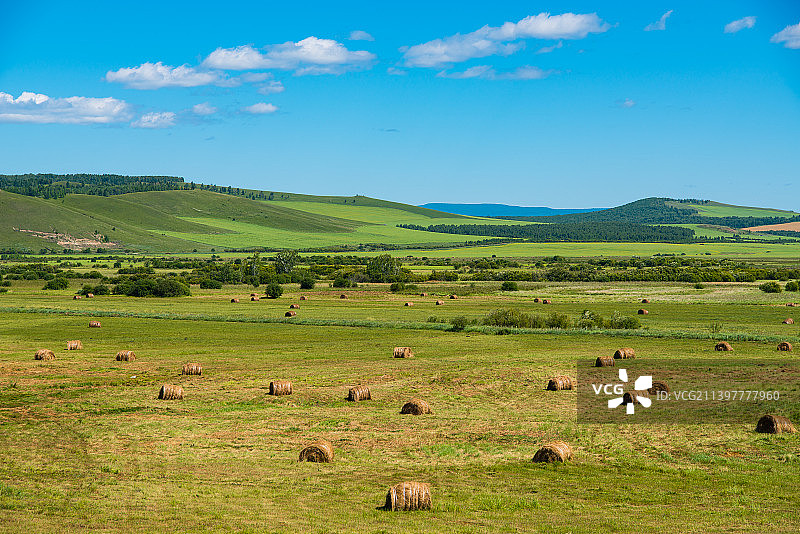 中国内蒙古草原牧民打的草垛图片素材