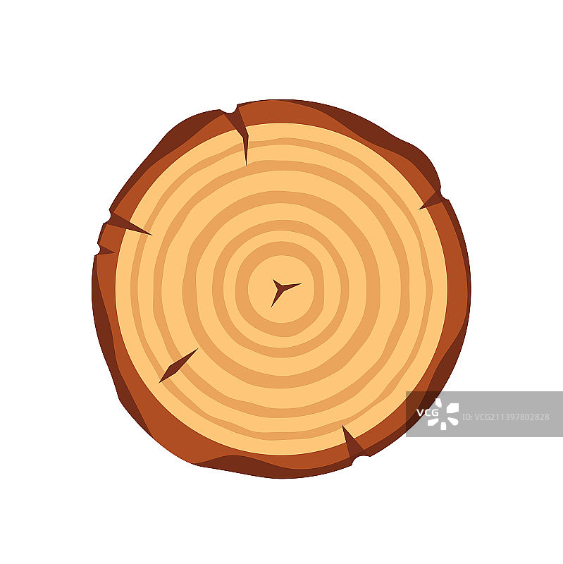 带有年轮和裂缝的圆形木片图片素材