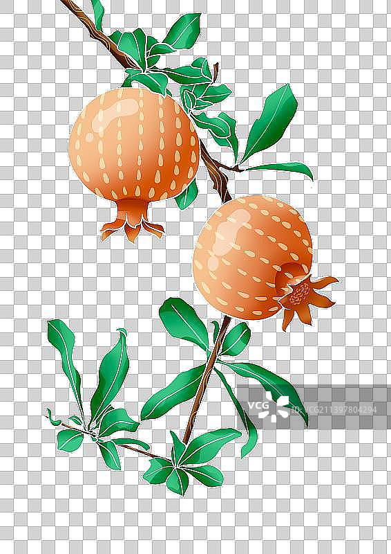 石榴渐变风插画图片素材