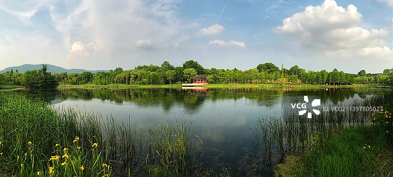 梅花谷的春图片素材
