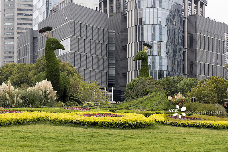 鼓楼广场园艺图片素材