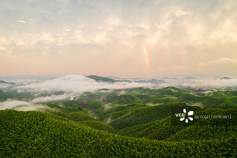 安吉竹海遇见彩虹图片素材