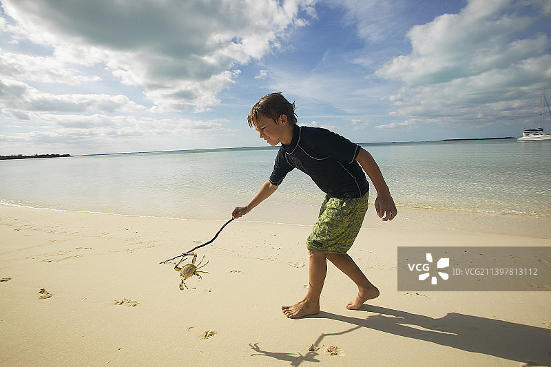 在海滩上玩螃蟹的男孩图片素材