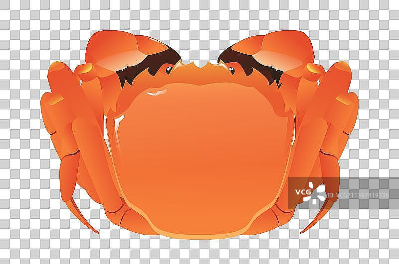 海鲜螃蟹大闸蟹美食插画图片素材