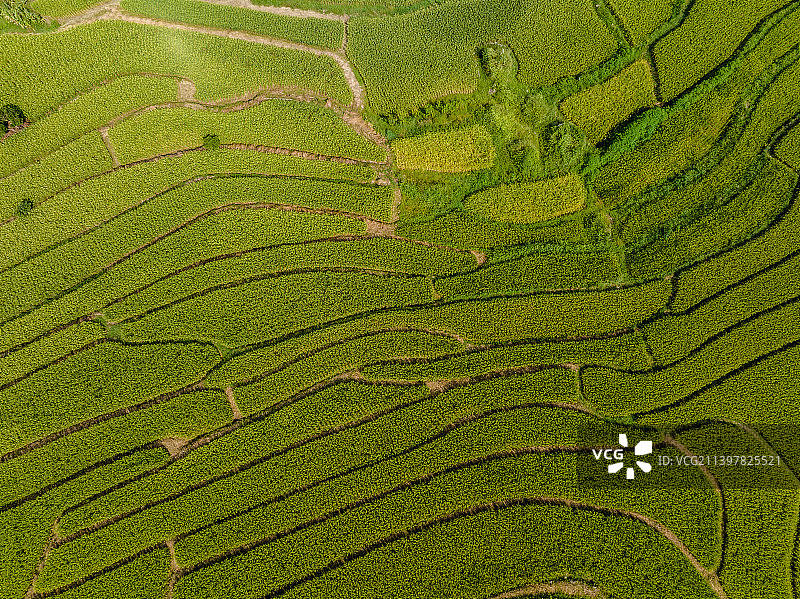 《广西南丹巴平米》图片素材